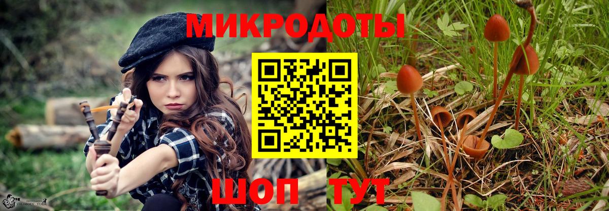 Артёмовский  наркошоп  Псилоцибиновые грибы мухоморы  Вход с VPN  Псилоцибиновые грибы GOLDEN TEACHER 