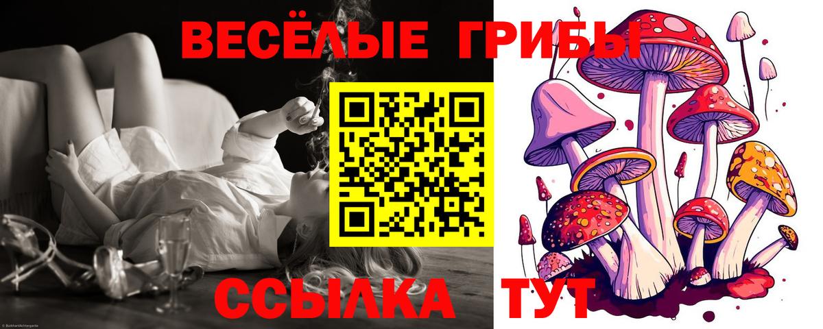 Псилоцибиновые грибы прущие грибы Артёмовский
